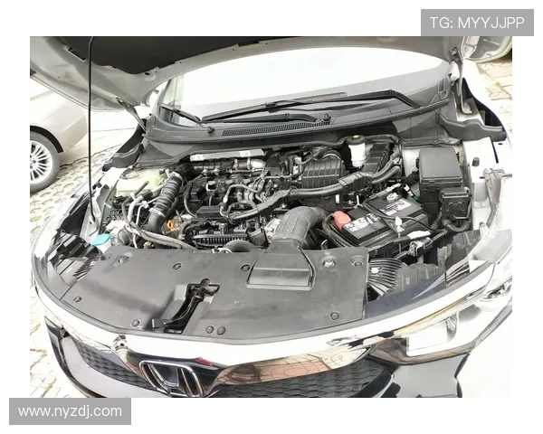 19款本田凌派的胎噪大吗?它提速很慢吗?车主透漏了小毛病